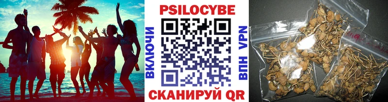 blacksprut ONION  даркнет сайт  Каспийск  Галлюциногенные грибы ЛСД 